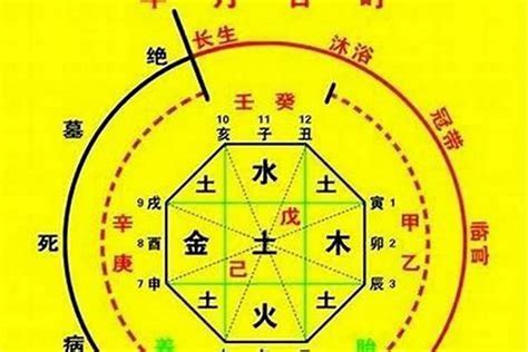 五行喜木火|如何确定自己的八字喜用神